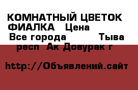 КОМНАТНЫЙ ЦВЕТОК -ФИАЛКА › Цена ­ 1 500 - Все города  »    . Тыва респ.,Ак-Довурак г.